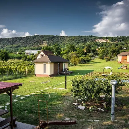 Tenkes Wellness Apartman Apartment