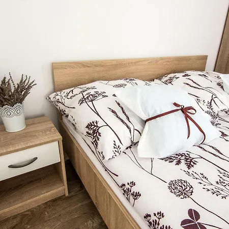 Tenkes Wellness Apartman Apartment *