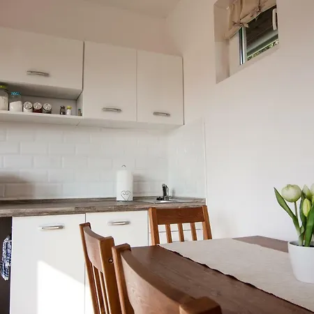 Tenkes Wellness Apartman *