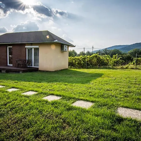 Tenkes Wellness Apartman *